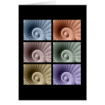 Series of Sea Shells Cards