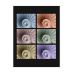 Series of Sea Shells Post Cards