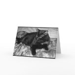 Serious Black Cat Greeting Card