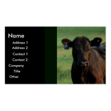Serious Business Business Card Templates