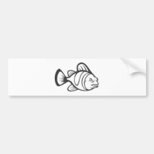 Serious Clown Fish in Black and White Bumper Sticker