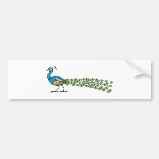 Serious Peacock Bird Bumper Stickers