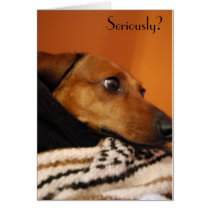 Serious puppy card by nickiwicki Serious puppy card
