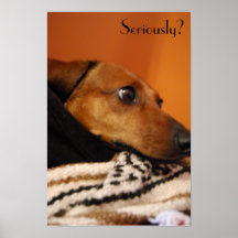 Serious puppy posters
