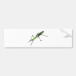 Serious Stick Insect Bumper Sticker