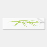 Serious Stick Insect Bumper Stickers