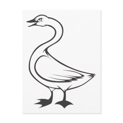 Serious Tundra Swan Bird in