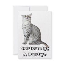 Seriously? Kitty Personalized Announcement