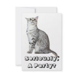 Seriously? Kitty Personalized Announcement