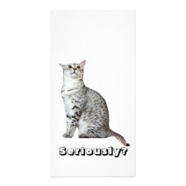 Seriously? Kitty Personalized Photo Card