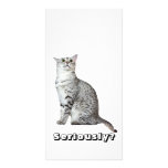Seriously? Kitty photo cards