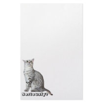 Seriously? Kitty Stationery Design