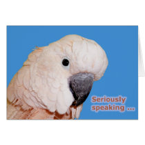 Seriously Speaking Birthday cards