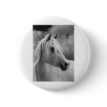 Serne Composition Pins