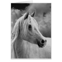 Serne Composition Greeting Card