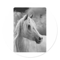 Serne Composition Stickers
