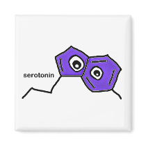 Serotonin Magnet
