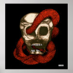 Serpent & Skull (Fire-Red) Print
