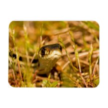 Serpiente en la hierba iman flexible