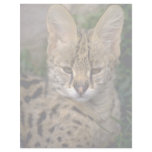 Serual cub custom letterhead
