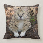 serval 003 pillows