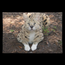 serval 003 placemats