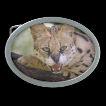 serval 013 belt buckles