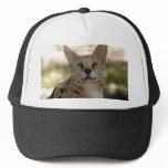 serval 017 hat