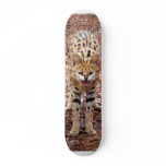 serval 018 skate boards