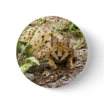 serval 019 buttons