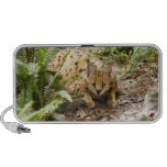 serval 019 travelling speaker