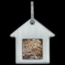 serval 025 pet tags