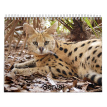 serval 025, Serval Wall Calendar