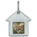 serval 029 placa de mascota