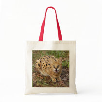 serval 044 bags