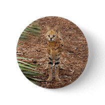 serval 046 buttons