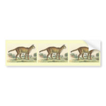 Serval bumper stickers by ZephyrusBooks Serval bumper stickers
