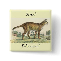 Serval buttons