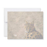 Serval cat custom invites