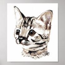 Serval Kitten Print