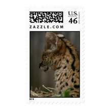 Serval Postage