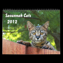 Serval Savannah Cat Calendar calendars