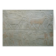 Servants driving an oryx and an antelope cards