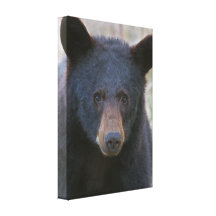 Serve & Protect Canvas Prints