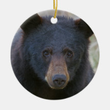 Serve & Protect Ornaments