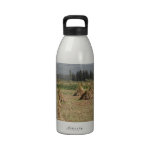 Sesame Reusable Water Bottle