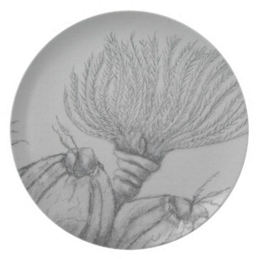 Sessile Barnacle and Feather Duster fan worm Party Plates