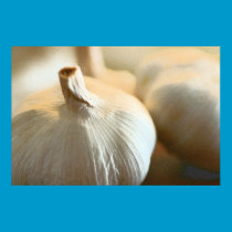 Set Flavour to High ~ Garlic Poster posters