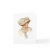 vintage, antique, edwardian, millinery, bonnet,