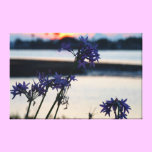 Set on violet canvas prints